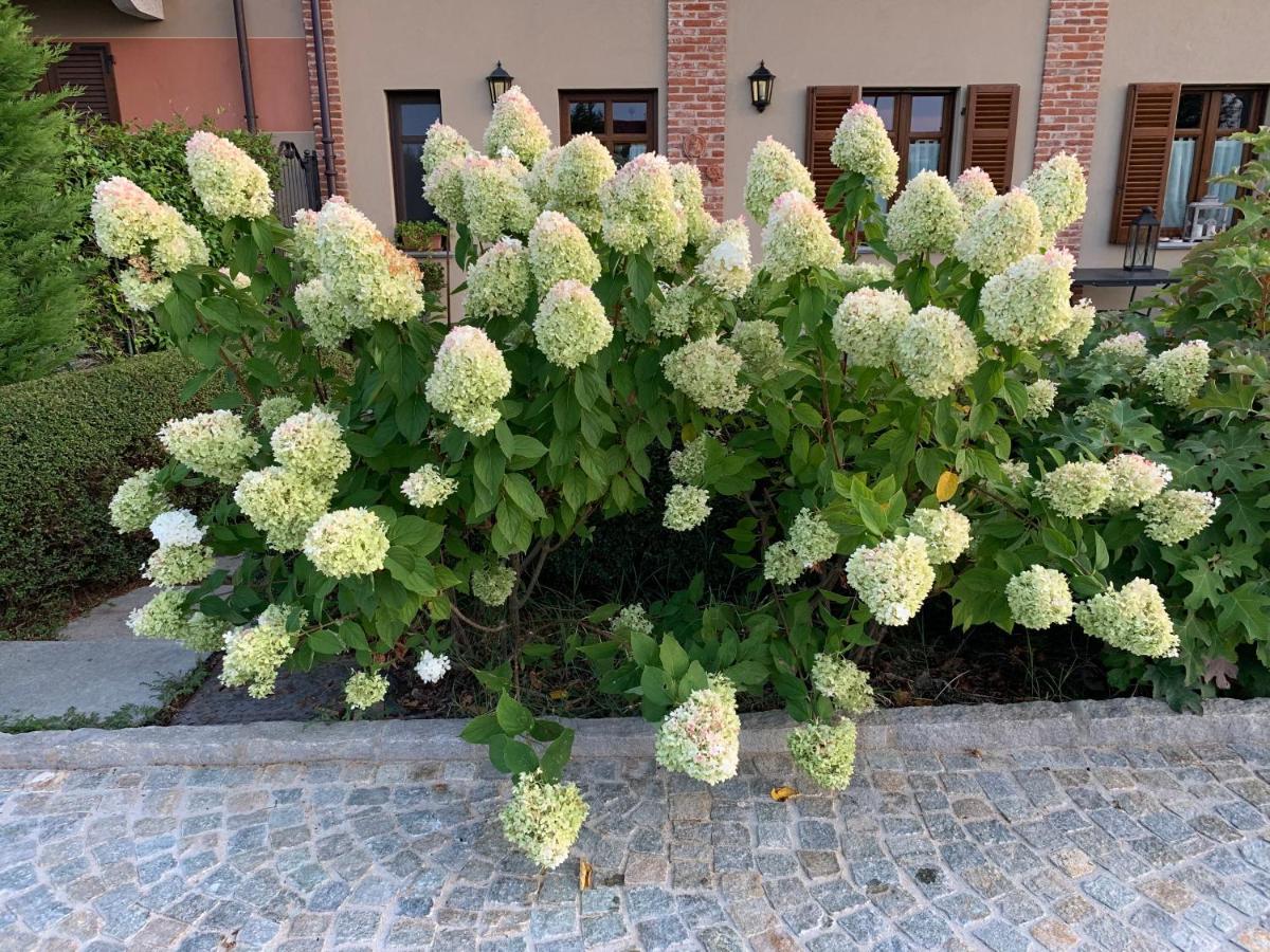 Agriturismo Sarmore Salmore Kültér fotó